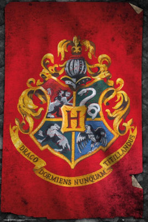 HARRY POTTER Hogwarts Flag