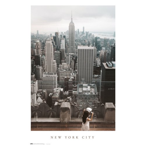 NEW YORK CITY VIEWS