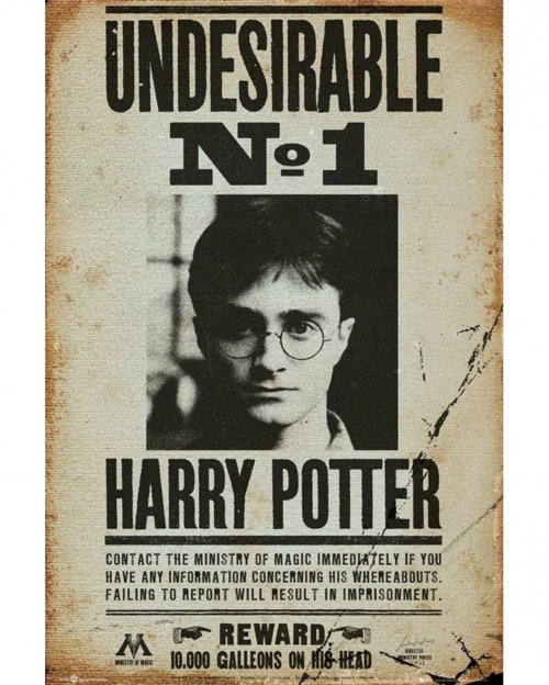 HARRY POTTER UNDESIDERABLE