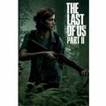 THE LAST OF US PART 2 (ELLIE)