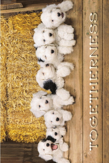 TOGETHERNESS ERNIE JANES