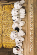 TOGETHERNESS ERNIE JANES