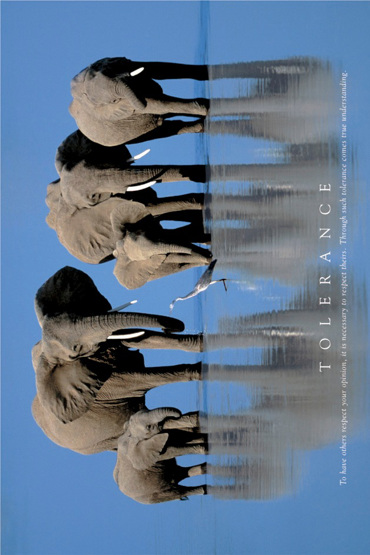 TOLERANCE J. & A. SCOTT