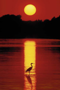 SUNSET IN THE FLORIDA
