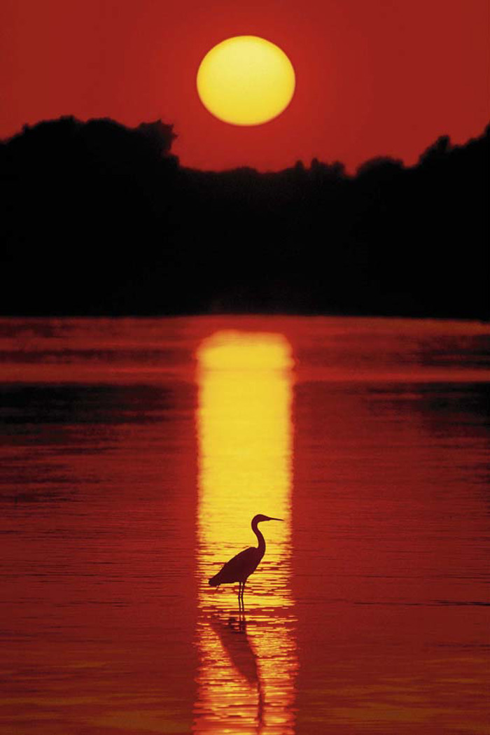 SUNSET IN THE FLORIDA