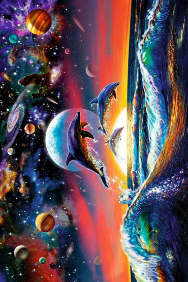 DOLPHIN UNIVERSE