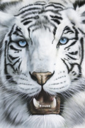 WHITE TIGER