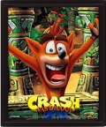 CRASH BANDICOOT (MASK POWER UP)
