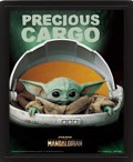 STAR WARS CARGO POSTER KADRO