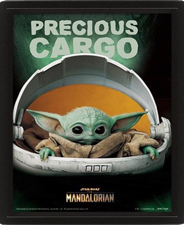 STAR WARS CARGO POSTER KADRO