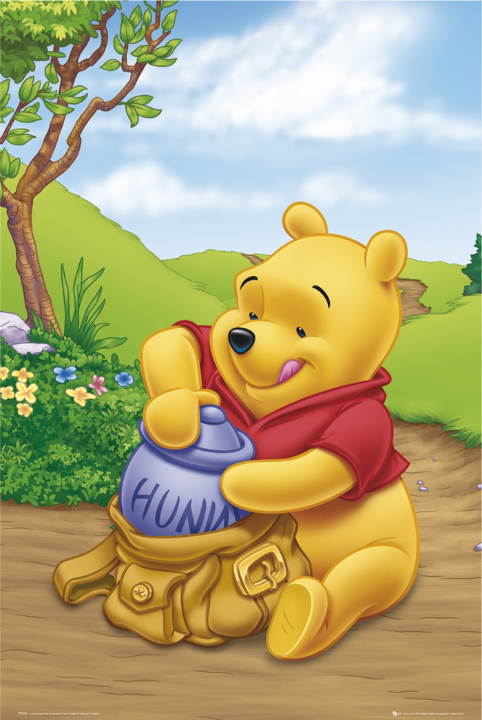 WINNIE THE POOH