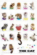 THE CAT COLLECTION