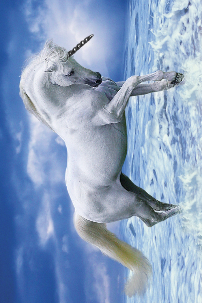 UNICORN
