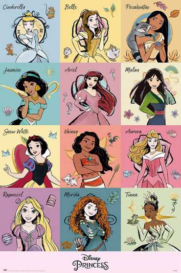 DISNEY PRINCESS