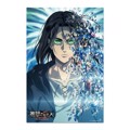 ATTACK ON TITAN EREN YEAR