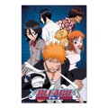 BLEACH