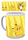 Pokemon Pikachu Evolve