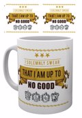 KOuPA APLI HARRY POTTER I SOLEMNLY SWEAR