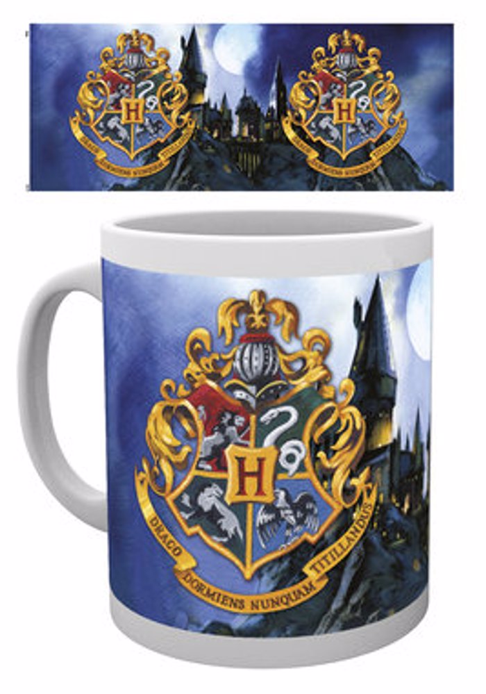HARRY POTTER HOGWARTS