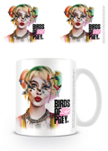BIRDS OF PREY
