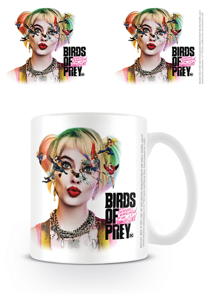BIRDS OF PREY