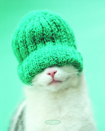 RACHAEL HALE (GUINESS)