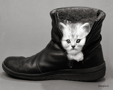 KITTEN IN BOOT(RED)