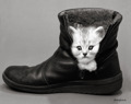 KITTEN IN BOOT(RED)