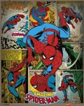 SPIDERMAN (RETRO)