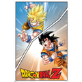 DRAGONBALL Z (SPECIAL GOKU)