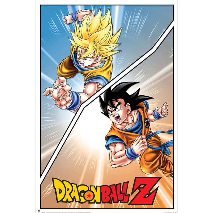 DRAGONBALL Z (SPECIAL GOKU)