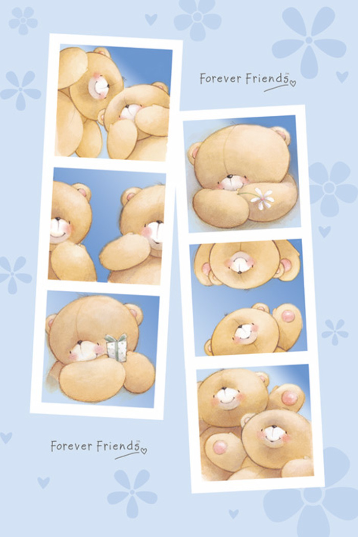 TEDDY BEAR