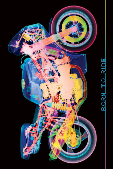 MOTROCYCLE BORN TO RIDE