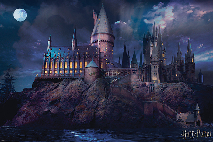 HARRY POTTER (HOGWARTS)