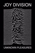 JOY DIVISION (UKNOWN PLEASURES)