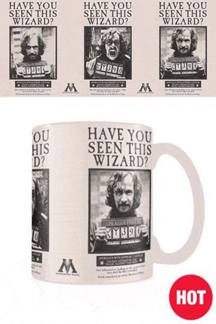 HARRY POTTER (WANTED SIRIUS BLACK)