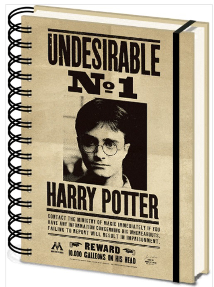HARRY POTTER (SIRIUS & HARRY)