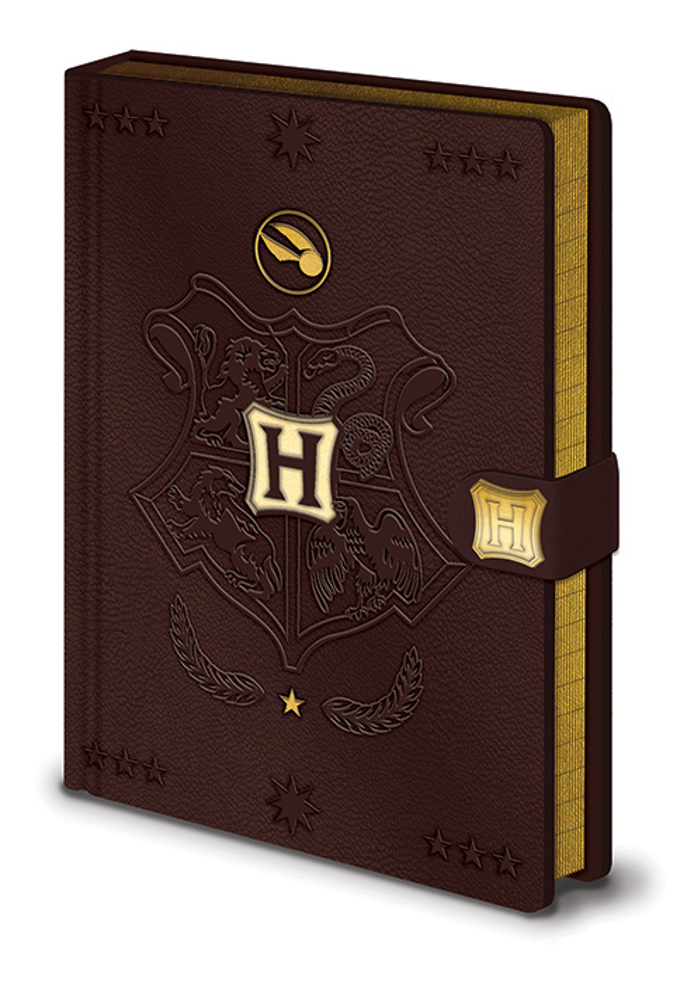 HARRY POTTER (QUIDDITCH)