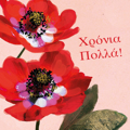 XRONIA POLLA!
